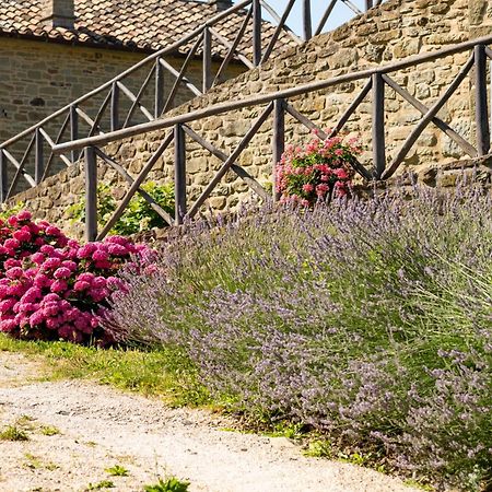 Agriturismo Terrazza Sul Parco Bagno di Romagna Luaran gambar