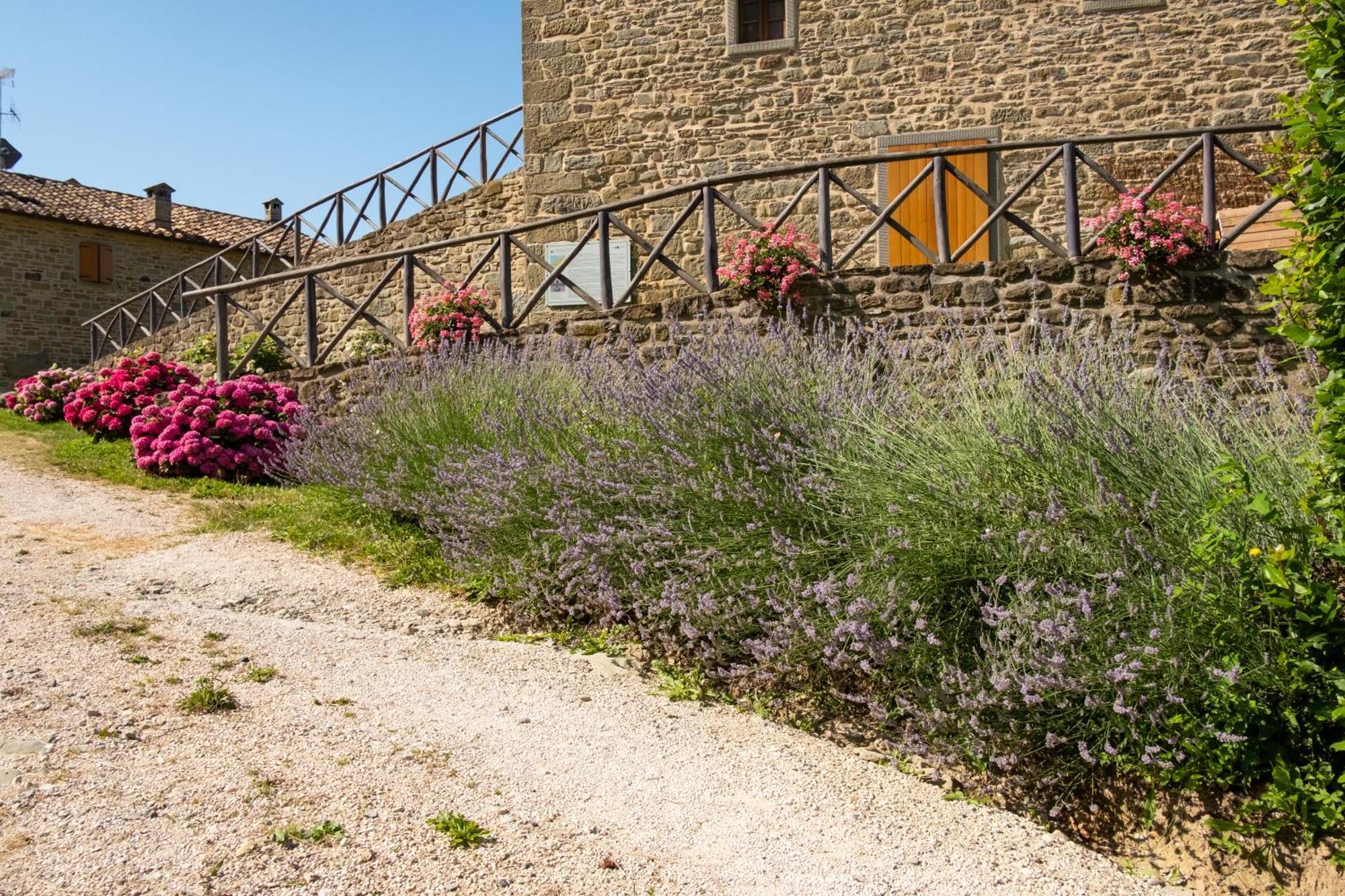 Agriturismo Terrazza Sul Parco Bagno di Romagna Luaran gambar