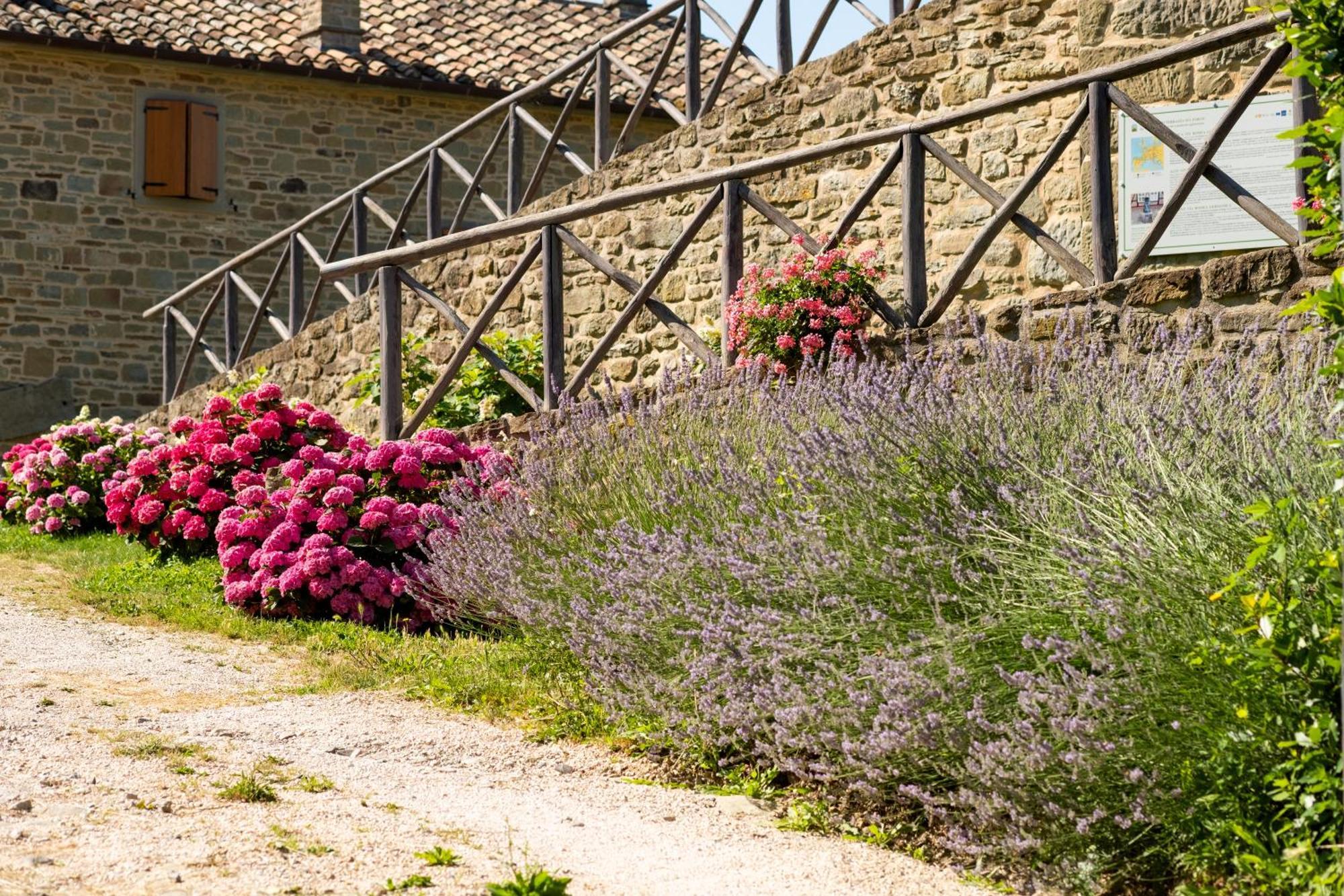 Agriturismo Terrazza Sul Parco Bagno di Romagna Luaran gambar