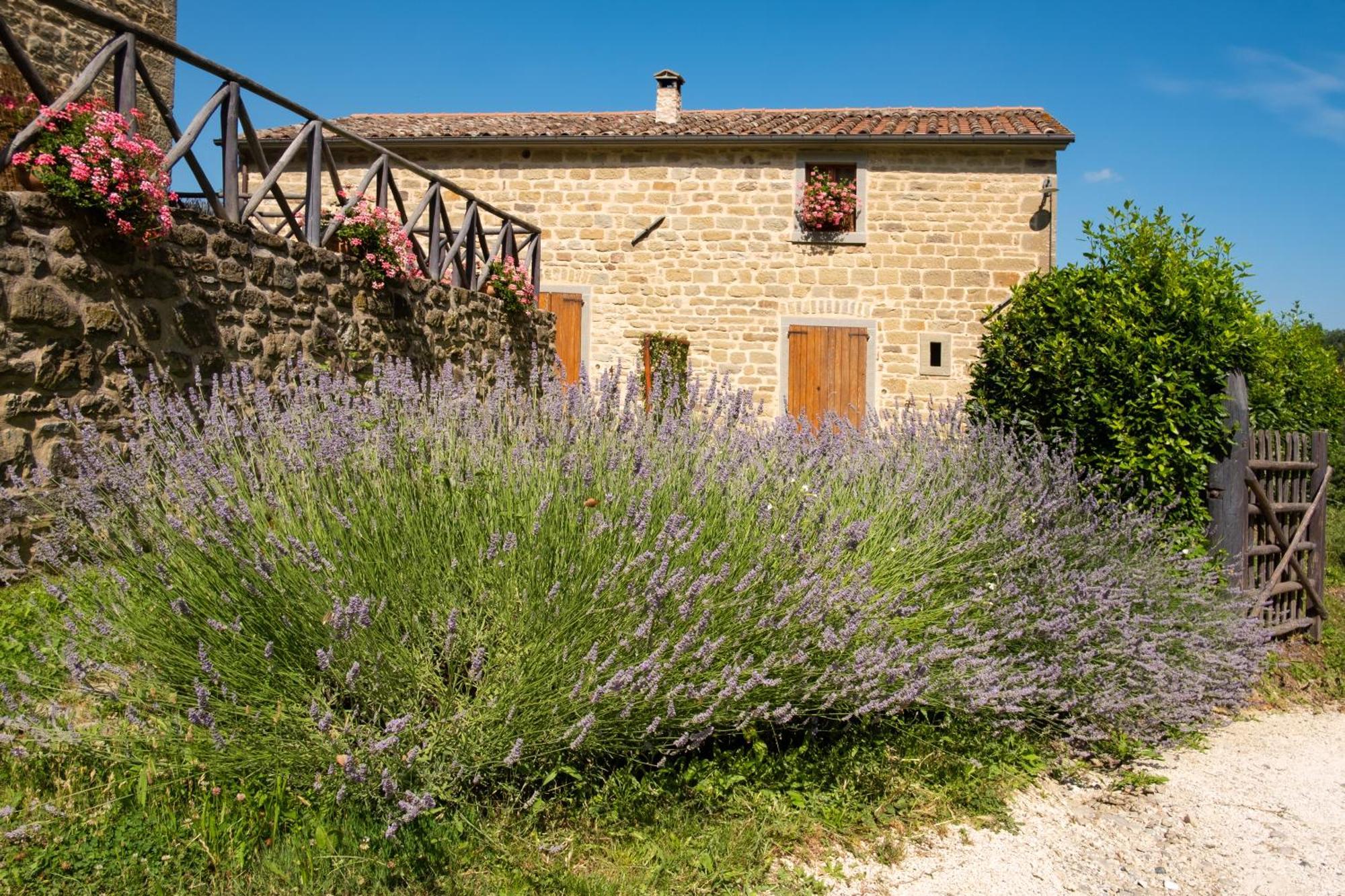 Agriturismo Terrazza Sul Parco Bagno di Romagna Luaran gambar
