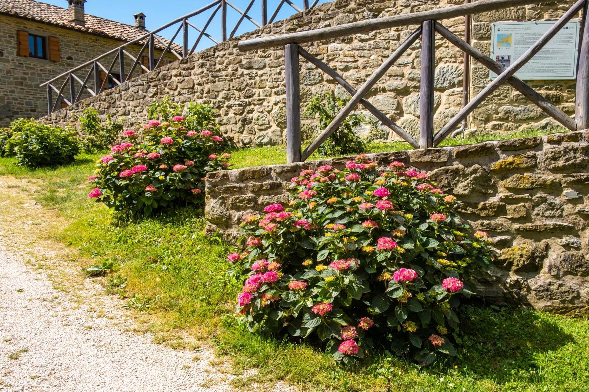 Agriturismo Terrazza Sul Parco Bagno di Romagna Luaran gambar