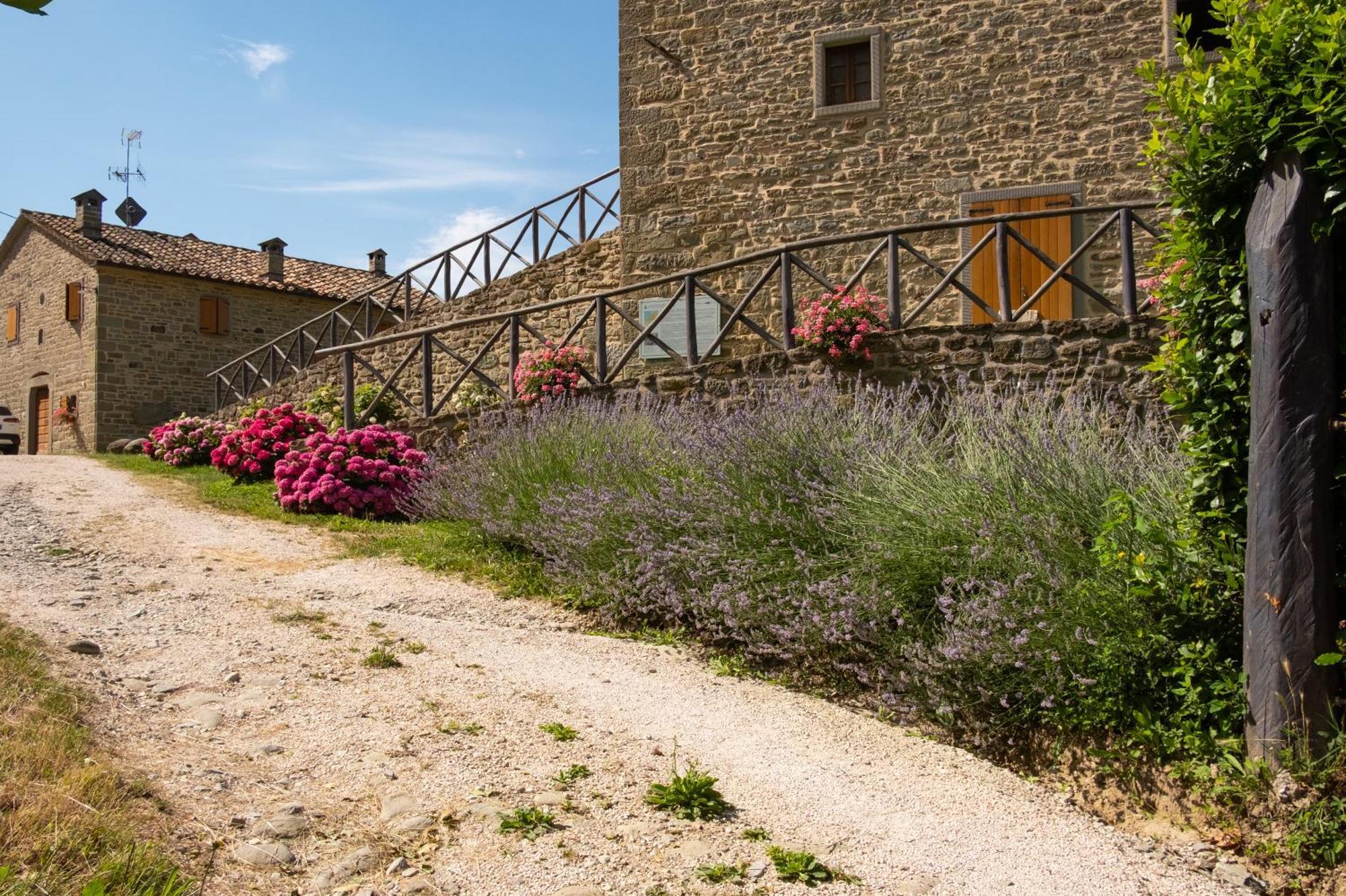 Agriturismo Terrazza Sul Parco Bagno di Romagna Luaran gambar