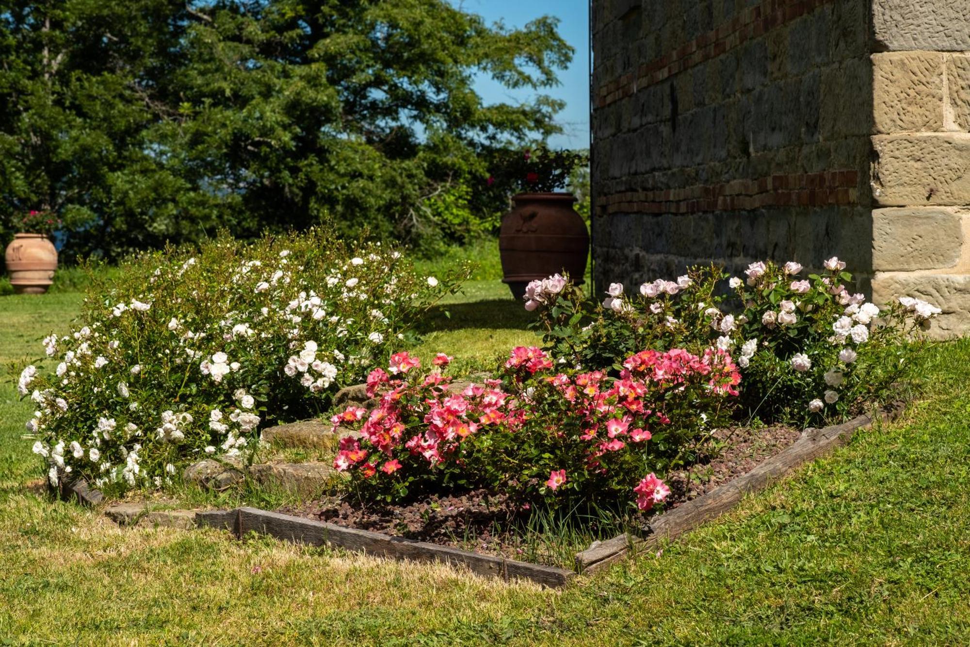 Agriturismo Terrazza Sul Parco Bagno di Romagna Luaran gambar