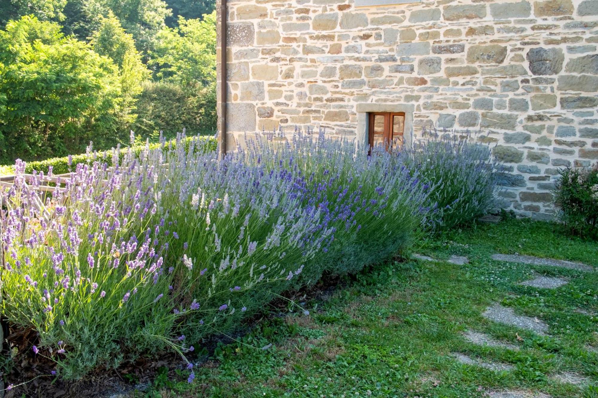 Agriturismo Terrazza Sul Parco Bagno di Romagna Luaran gambar